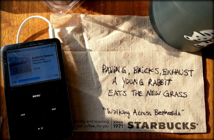 walking across bethesda