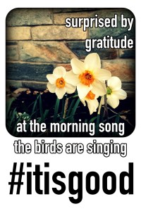 surprised by gratitude