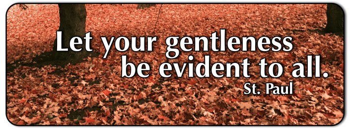 gentleness evident