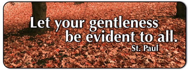 gentleness evident